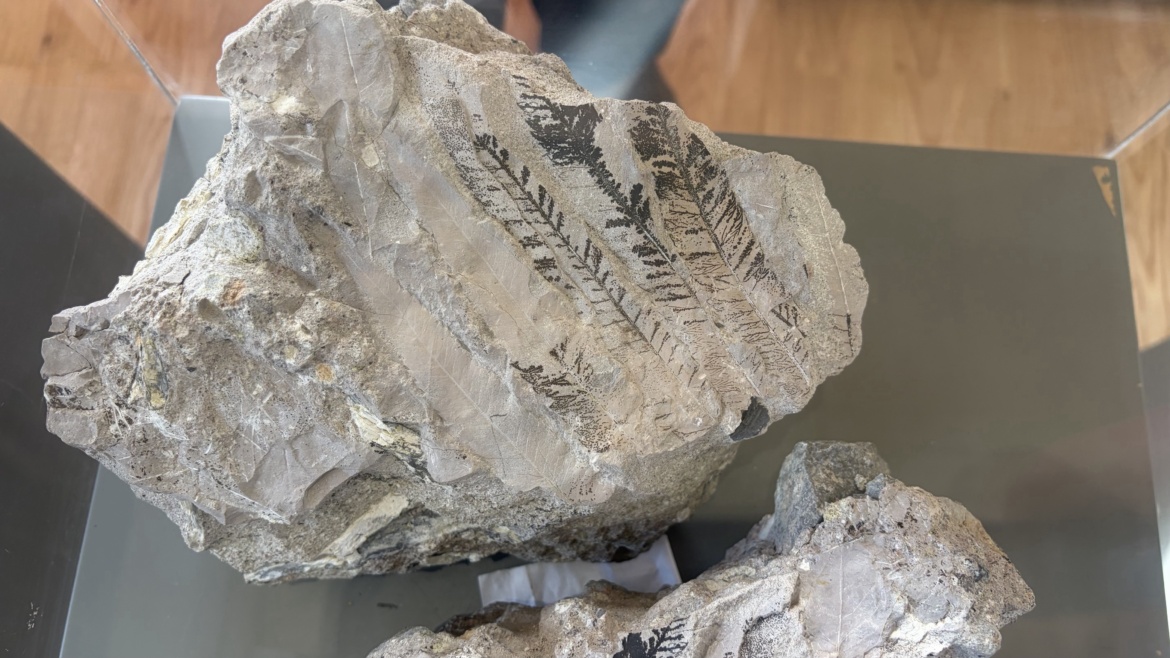 Μια βόλτα γεμάτη ιστορία, χαμόγελα και ανθρωπιά