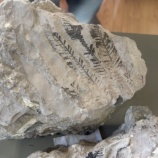 Μια βόλτα γεμάτη ιστορία, χαμόγελα και ανθρωπιά